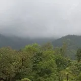 Authentic Review by SHOBHIT SETH