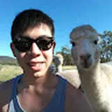 Authentic Review by Ronald Yeo