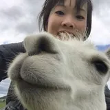Authentic Review by Amanda Woo