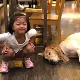 Authentic Review by Priscilia Cheng
