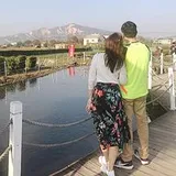 Authentic Review by Allynn Ng