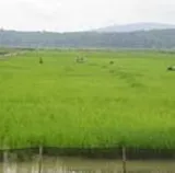 Authentic Review by Teo Kin Hua