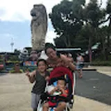 Authentic Review by Zhang Lingyan