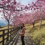 Authentic Review by Helen Toh