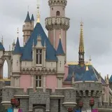 Authentic Review by Sylvia Koh