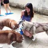 Authentic Review by Tania Tay