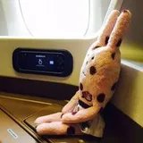Authentic Review by Ms Li