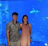 Authentic Review by Nicholas Yap