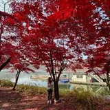 Authentic Review by Valerie Neo