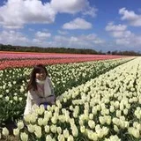Authentic Review by Rachel Leow