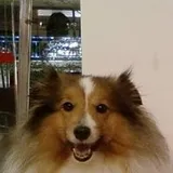 Authentic Review by May