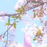 Authentic Review by Vivian Chen