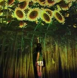 Authentic Review by Cher