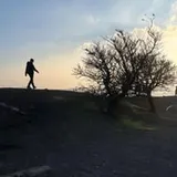 Authentic Review by Yong