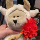 Authentic Review by Jeanette Goh