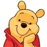 Authentic Review by NP