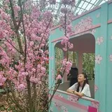 Authentic Review by Elyssia Kwok