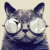 Authentic Review by Shila Lola