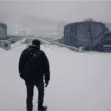 Authentic Review by Andy