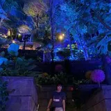 Authentic Review by Tan SiYing Eileen