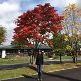 Authentic Review by Christine Cheung