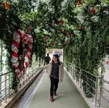 Authentic Review by Eric Tan