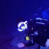 Authentic Review by Caryn Goh