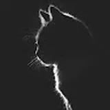 Authentic Review by Dinni