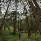 Authentic Review by Pang Poh Geok