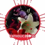 Authentic Review by Choo