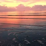 Authentic Review by Rachel ng