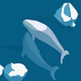 Authentic Review by Zhang
