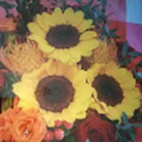 Authentic Review by Sharon Lim